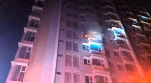 Flora Anh Dao hoa hoan, hon loan cu dan thao chay trong dem