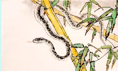 Tu vi ngay 6/10/2019 cua 12 con giap: Suu Ngo co Than Tai ghe tham tien vao am am-Hinh-2