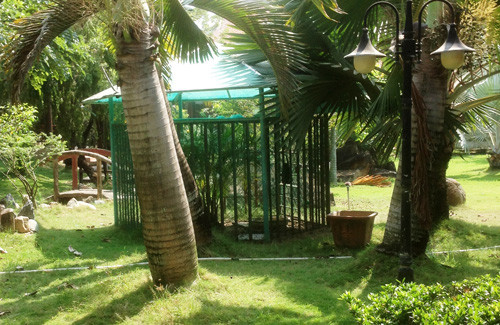 Tiet lo nong ve dai gia nuoi gau can dut tay be trai