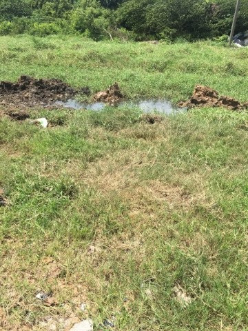 'Phó chủ tịch phường' và nhóm người lén lút chôn xác heo trong đêm ở Sài Gòn - Hình 2 'Pho chu tich phuong' va nhom nguoi len lut chon xac heo trong dem o Sai Gon-Hinh-2