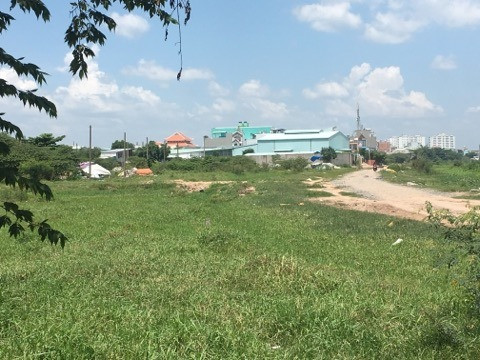 'Phó chủ tịch phường' và nhóm người lén lút chôn xác heo trong đêm ở Sài Gòn 'Pho chu tich phuong' va nhom nguoi len lut chon xac heo trong dem o Sai Gon