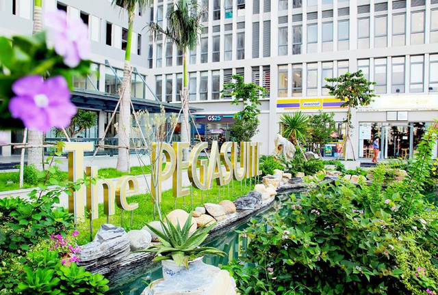 Những lùm xùm tại The Pegasuite của Phương Việt Invest - Hình 2 Nhung lum xum tai The Pegasuite cua Phuong Viet Invest-Hinh-2