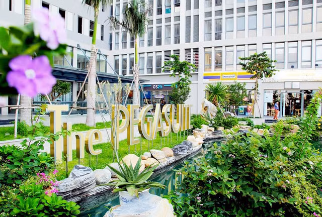 Nhung lum xum tai The Pegasuite cua Phuong Viet Invest-Hinh-2