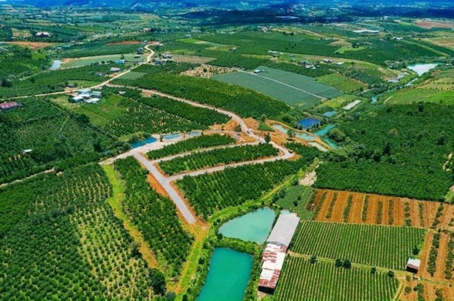 Khám nghiệm hiện trường vụ phân lô, bán nền trá hình ở TP Bảo Lộc Kham nghiem hien truong vu phan lo, ban nen tra hinh o TP Bao Loc