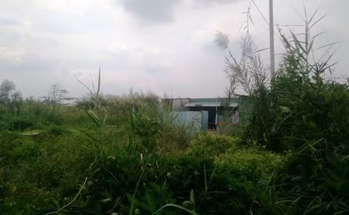 Nguoi dan Thu Thiem mong uoc gi truoc them nam moi 2019?-Hinh-3