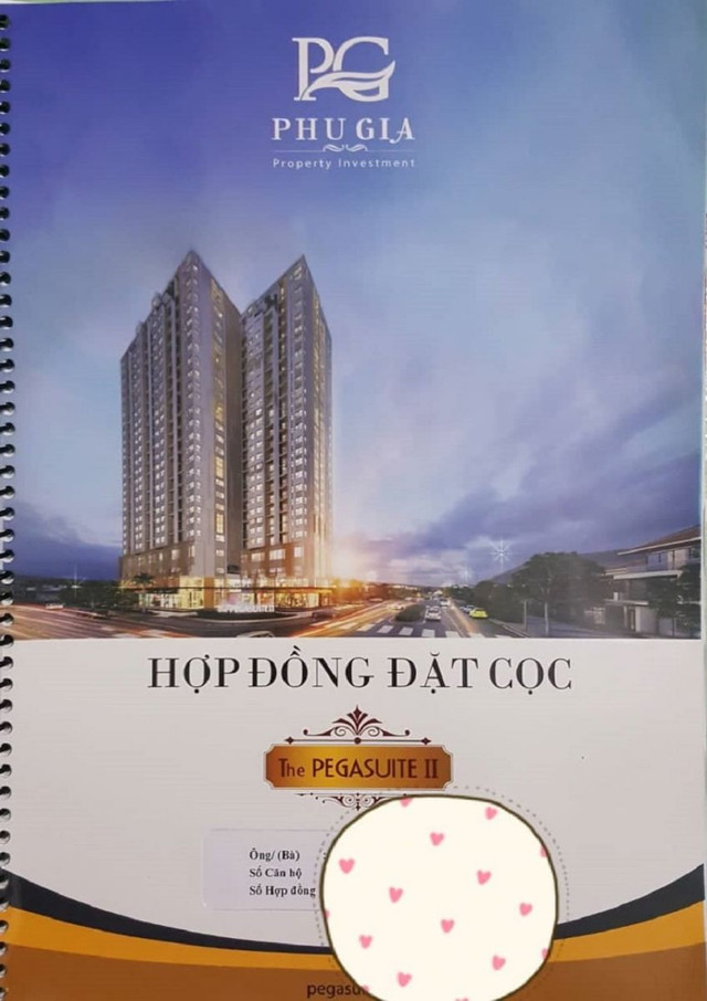 Sau nhiều chuyện lùm xùm, dự án The Pegasuite II cũng được chấp thuận đầu tư - Hình 2 Sau nhieu chuyen lum xum, du an The Pegasuite II cung duoc chap thuan dau tu-Hinh-2