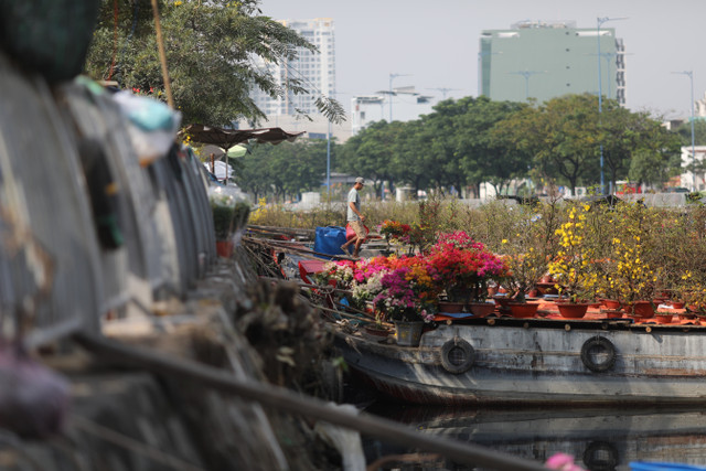 Rộn ràng chợ hoa Xuân “Trên bến dưới thuyền” ở TP HCM - Hình 3 Ron rang cho hoa Xuan “Tren ben duoi thuyen” o TP HCM-Hinh-3