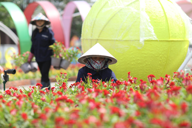 Cận cảnh đường hoa Nguyễn Huệ trước giờ khai mạc - Hình 12 Can canh duong hoa Nguyen Hue truoc gio khai mac-Hinh-12