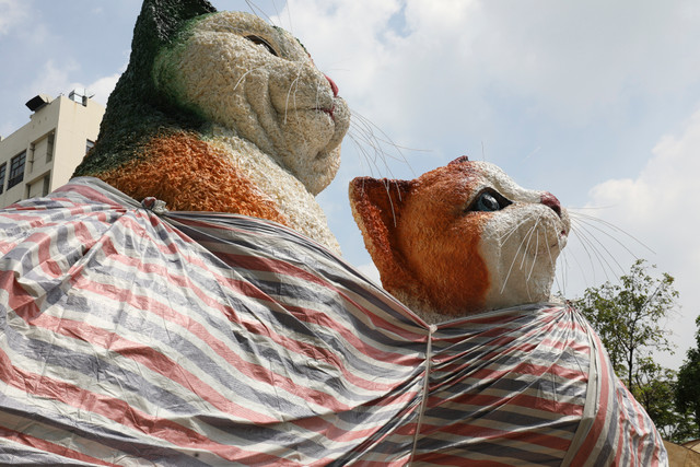 Cận cảnh đường hoa Nguyễn Huệ trước giờ khai mạc - Hình 7 Can canh duong hoa Nguyen Hue truoc gio khai mac-Hinh-7