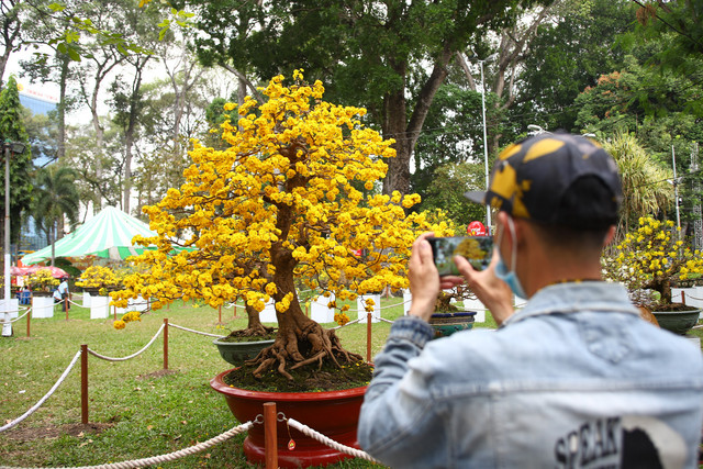 Ngam ‘cu’ mai cuc gia 2 ty vang ruc hoi xuan o Sai Gon-Hinh-6