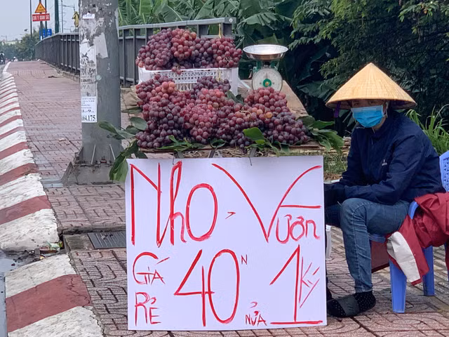 Su that nga ngua 'nho My, nho vuon'… ban doc duong Sai Gon