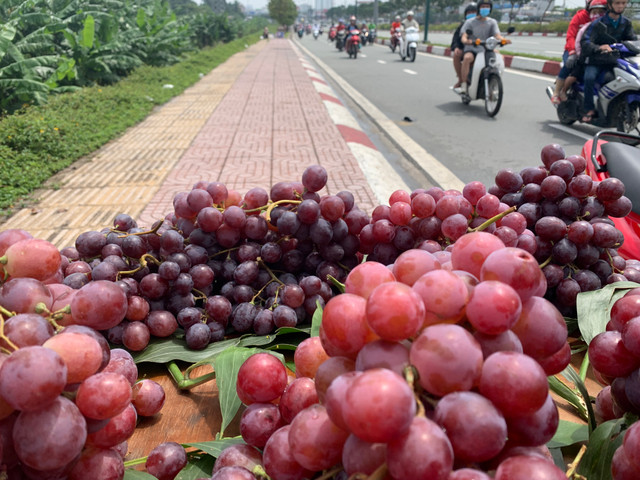 Su that nga ngua 'nho My, nho vuon'… ban doc duong Sai Gon-Hinh-2