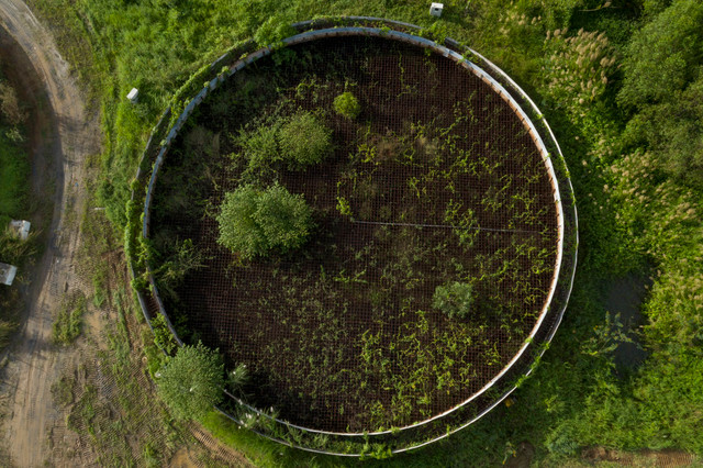 Cận cảnh dự án tổng kho xăng dầu hàng nghìn tỷ thi công dở dang ở TP HCM - Hình 6 Can canh du an tong kho xang dau hang nghin ty thi cong do dang o TP HCM-Hinh-6