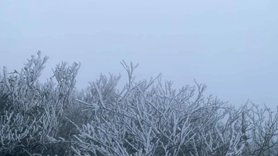 Dự báo thời tiết miền Bắc rét đậm, gió mạnh, biển động dữ dội