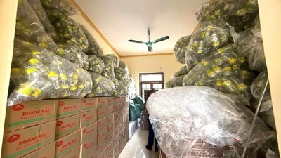 Số tang vật cơ quan công an thu giữ (Ảnh: Công an Ninh Bình)