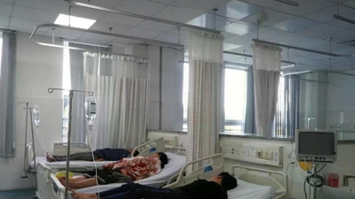 Vụ ngộ độc tại Vũng Tàu: Salmonella là thủ phạm chính, ngành y tế tập trung điều trị