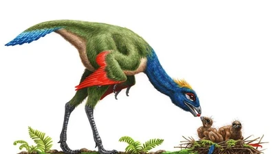 Giải mã loài khủng long tí hon mọc lông vũ, có ‘cánh’ như chim