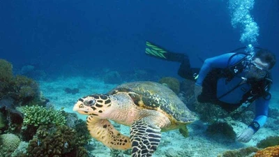 Hành trình khám phá thiên nhiên và lịch sử tại Côn Đảo