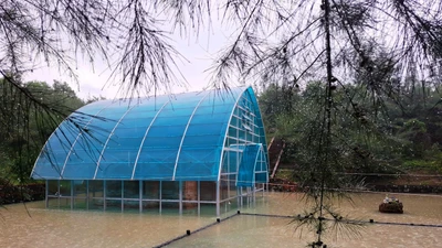 Tháp Chăm Phú Diên chìm trong nước do mưa lũ kéo dài