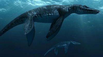 Hành trình khám phá Liopleurodon, vua của đại dương cổ đại