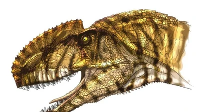 Hóa thạch Monolophosaurus hé lộ quá trình tiến hóa của khủng long ăn thịt