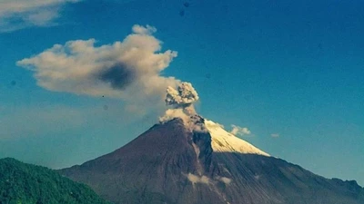 Khám phá khu rừng kỳ vĩ nhất dãy Andes, có ba núi lửa khổng lồ sừng sững