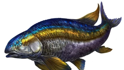 Loài cá có vảy sáng rực, từng thống trị hồ nước thời khủng long 