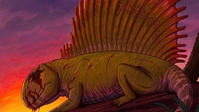 Tận mục tổ tiên của các loài động vật có vú, lưng đeo cánh buồm khủng