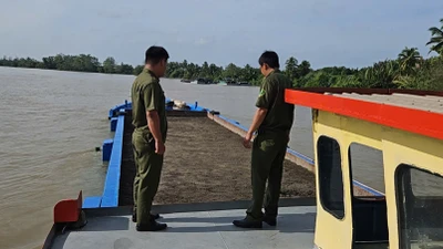 Bắt giữ 6 phương tiện tàng trữ gần 537 m3 cát “lậu”