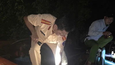 Bắt giữ 2 phương tiện vận chuyển cát trái phép ở Đồng Tháp