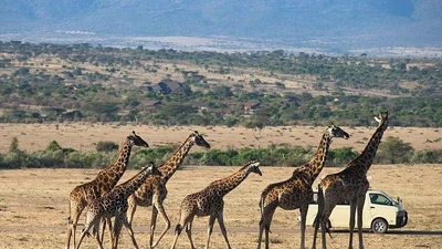 Hành trình hồi sinh của vườn quốc gia Garamba