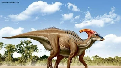 Bí ẩn loài khủng long ăn cỏ với chiếc mào độc đáo
