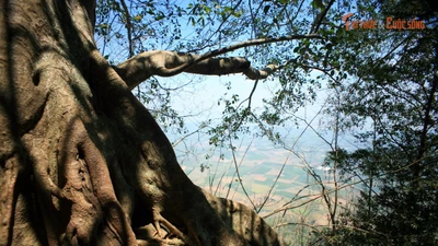 Liệu có kho báu bị chôn giấu ở Núi Bà Đen? 