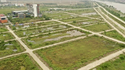 Ninh Bình đấu giá 42 lô đất, khởi điểm từ 6 triệu đồng/m2