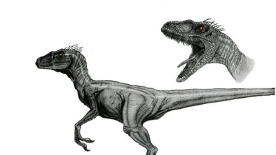 Bí mật về Velociraptor: Chiến binh nhỏ bé của kỷ Phấn trắng