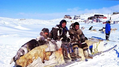 Người Inuit và nghệ thuật sinh tồn trong môi trường Bắc Cực khắc nghiệt
