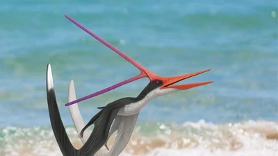 Nyctosaurus: Loài thằn lằn bay cổ đại với mào đặc trưng