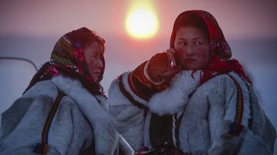 Dân du mục Nenets và hành trình thích nghi với thời tiết khắc nghiệt