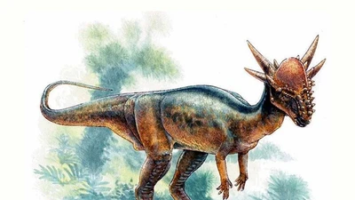 Loài khủng long đầu vòm độc đáo với sọ gai nhọn