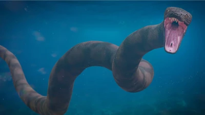 Hóa thạch rắn cổ đại giúp hiểu tiến hóa lưỡng cư