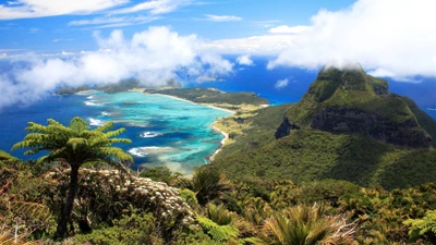 Quần đảo có loài côn trùng khổng lồ và rạn san hô độc đáo