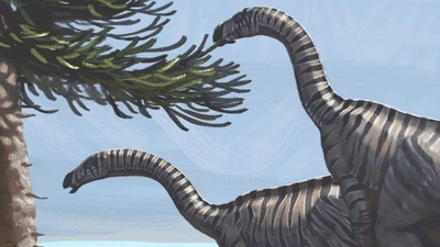 Phát hiện mới về Plateosaurus và ý nghĩa trong tiến hóa khủng long