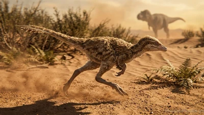 Những loài khủng long tí hon ít người biết đến