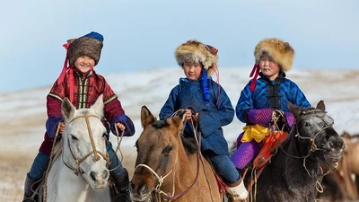 Bí mật về loài ngựa giúp Mông Cổ bá chủ thế giới