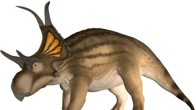 Khám phá khủng long mặt sừng cổ xưa Diabloceratops