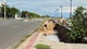 Một đoạn mái taluy dài 58 m cùng vỉa hè dài 34 m của bờ kè Thường Thới Tiền tiếp tục bị sạt lở vào chiều ngày 16/10.