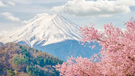 Mùa hoa anh đào Nhật Bản khởi sắc, du lịch Việt tăng trưởng