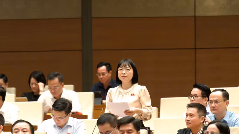 Đề nghị bổ sung trách nhiệm bồi thường nếu cung cấp thiếu, sai thông tin