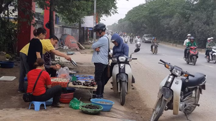 Hải sản cũng được đổ bộ trên đường.