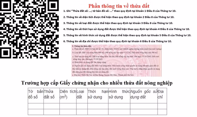 Thông tin từ mã QR trên số đỏ mới có ý nghĩa ra sao? - Hình 4 Thong tin tu ma QR tren so do moi co y nghia ra sao?-Hinh-4